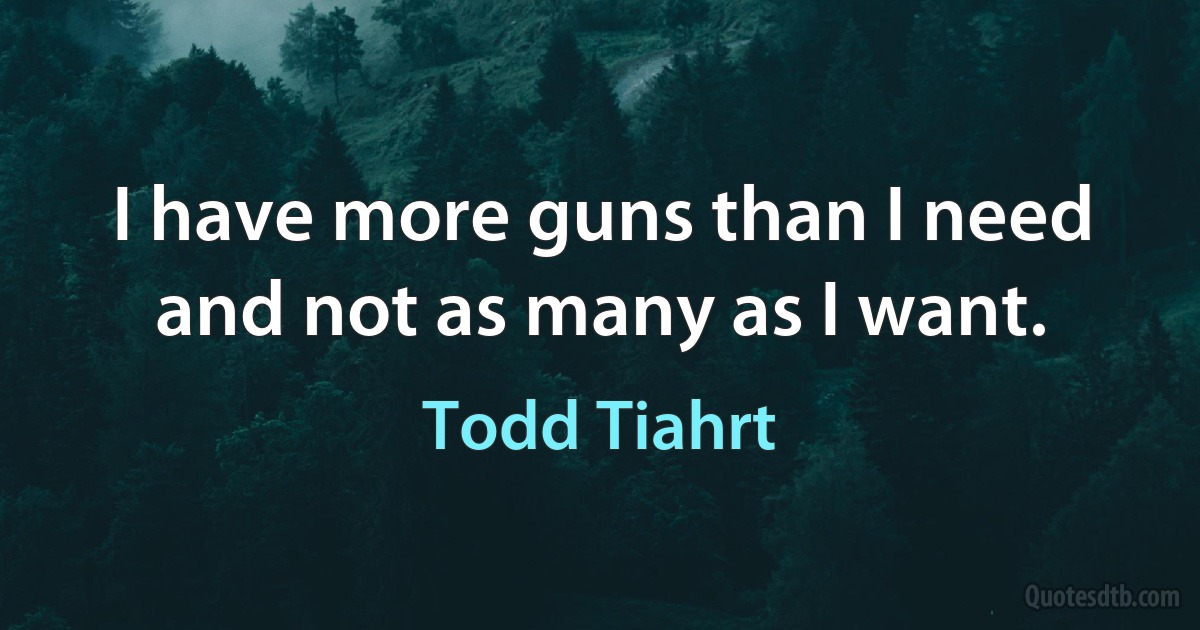 I have more guns than I need and not as many as I want. (Todd Tiahrt)