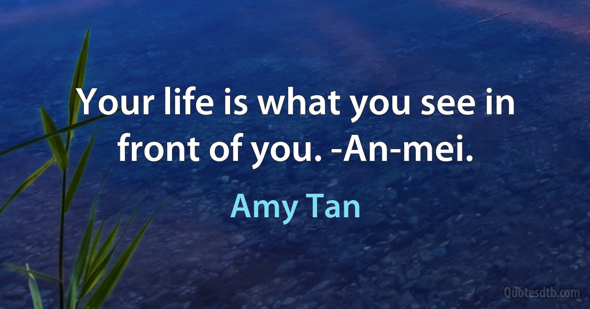 Your life is what you see in front of you. -An-mei. (Amy Tan)