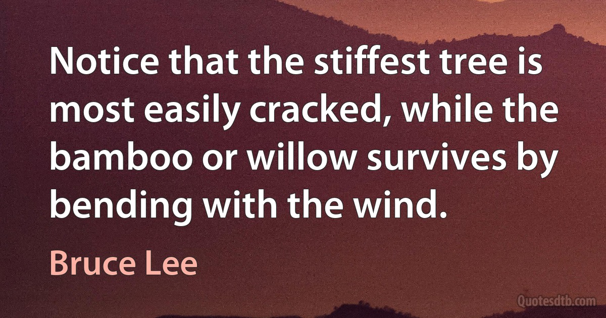 Notice that the stiffest tree is most easily cracked, while the bamboo or willow survives by bending with the wind. (Bruce Lee)