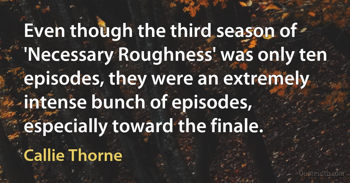 Even though the third season of 'Necessary Roughness' was only ten episodes, they were an extremely intense bunch of episodes, especially toward the finale. (Callie Thorne)