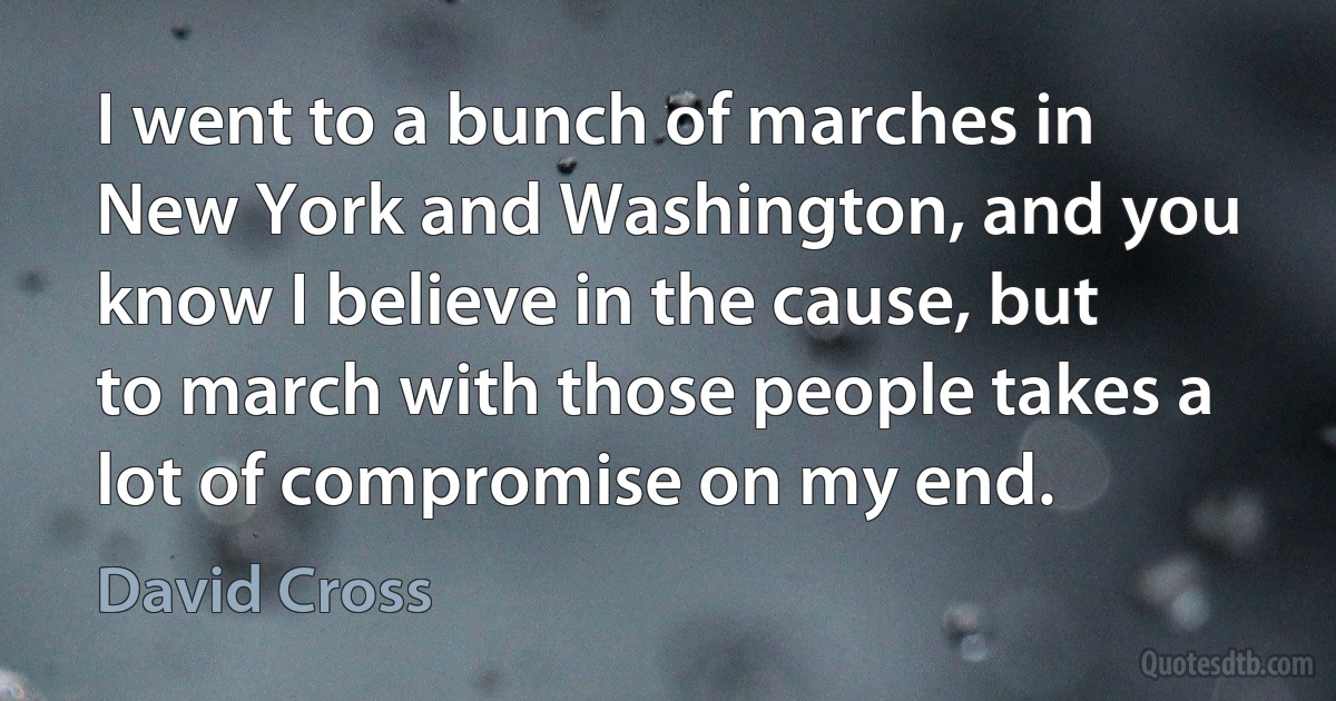 I went to a bunch of marches in New York and Washington, and you know I believe in the cause, but to march with those people takes a lot of compromise on my end. (David Cross)