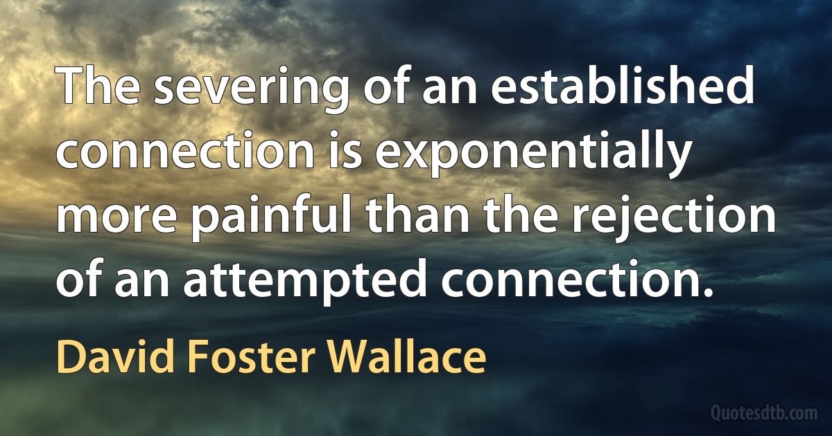 The severing of an established connection is exponentially more painful than the rejection of an attempted connection. (David Foster Wallace)