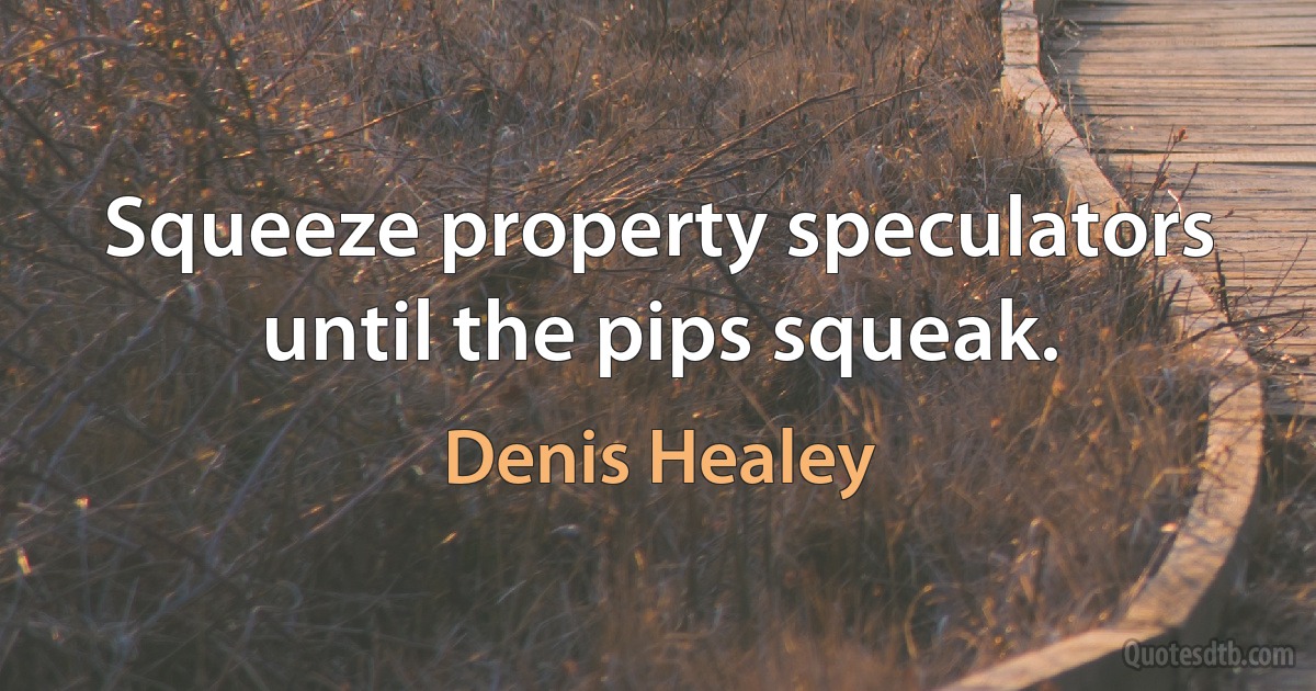 Squeeze property speculators until the pips squeak. (Denis Healey)