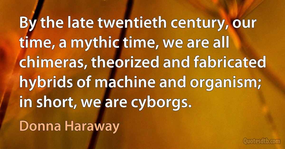 By the late twentieth century, our time, a mythic time, we are all chimeras, theorized and fabricated hybrids of machine and organism; in short, we are cyborgs. (Donna Haraway)