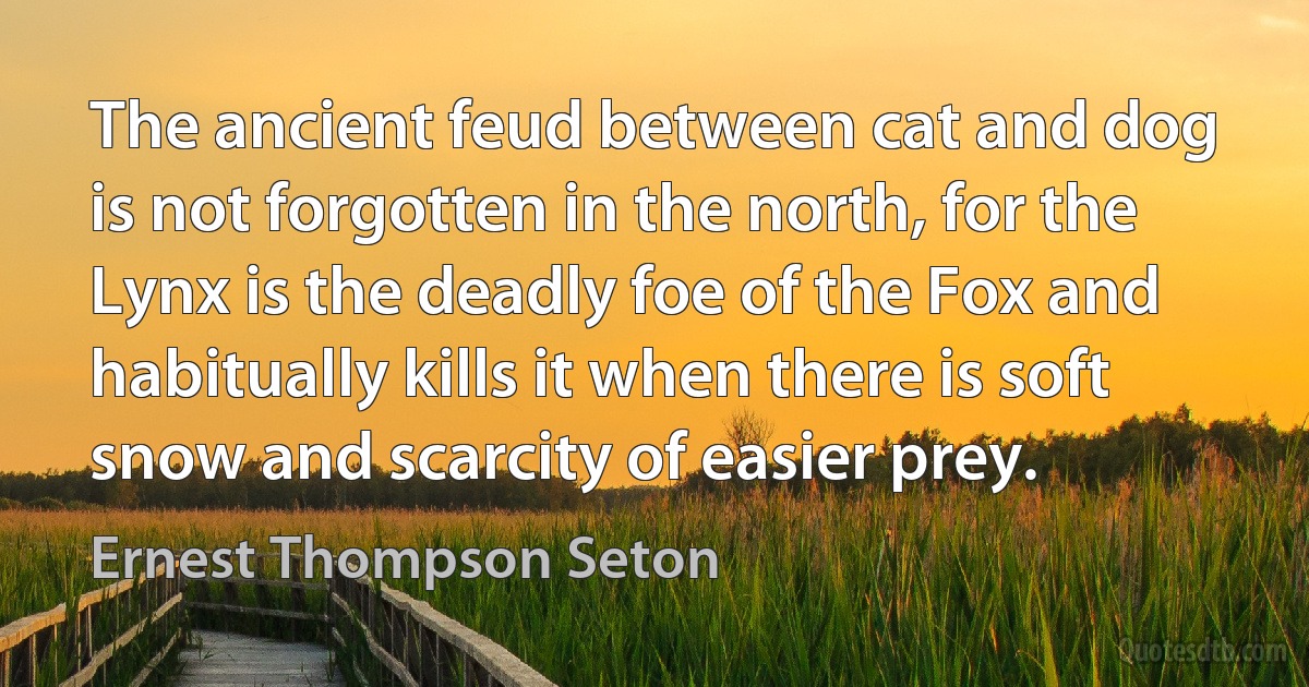 The ancient feud between cat and dog is not forgotten in the north, for the Lynx is the deadly foe of the Fox and habitually kills it when there is soft snow and scarcity of easier prey. (Ernest Thompson Seton)