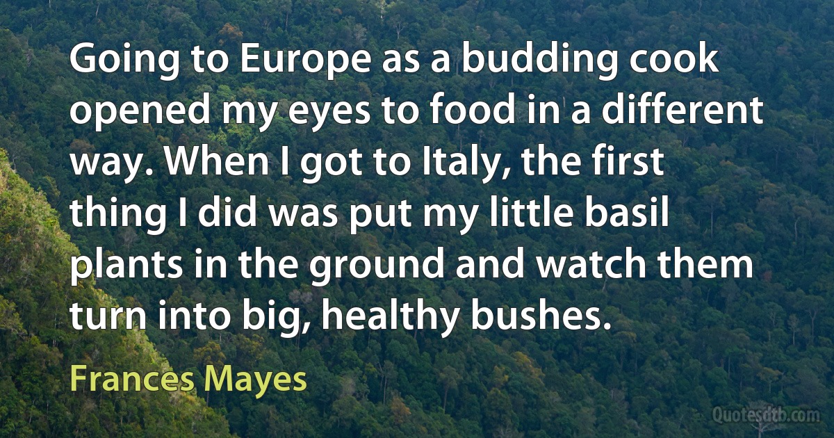 Going to Europe as a budding cook opened my eyes to food in a different way. When I got to Italy, the first thing I did was put my little basil plants in the ground and watch them turn into big, healthy bushes. (Frances Mayes)