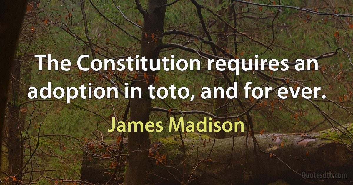 The Constitution requires an adoption in toto, and for ever. (James Madison)