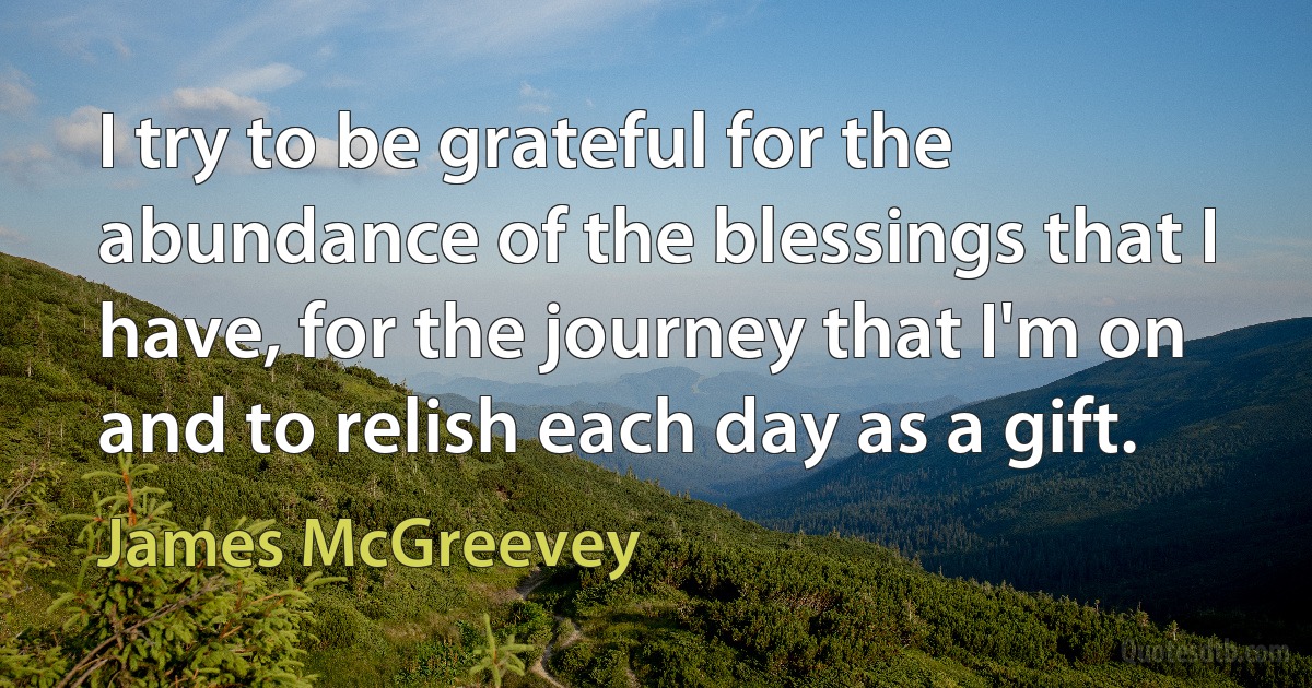 I try to be grateful for the abundance of the blessings that I have, for the journey that I'm on and to relish each day as a gift. (James McGreevey)