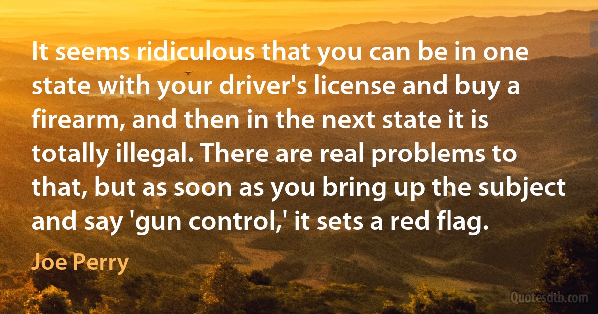 It seems ridiculous that you can be in one state with your driver's license and buy a firearm, and then in the next state it is totally illegal. There are real problems to that, but as soon as you bring up the subject and say 'gun control,' it sets a red flag. (Joe Perry)