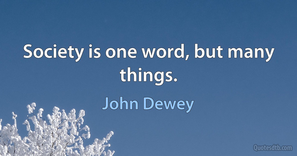 Society is one word, but many things. (John Dewey)