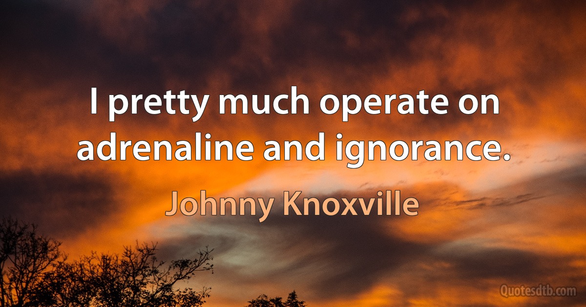 I pretty much operate on adrenaline and ignorance. (Johnny Knoxville)