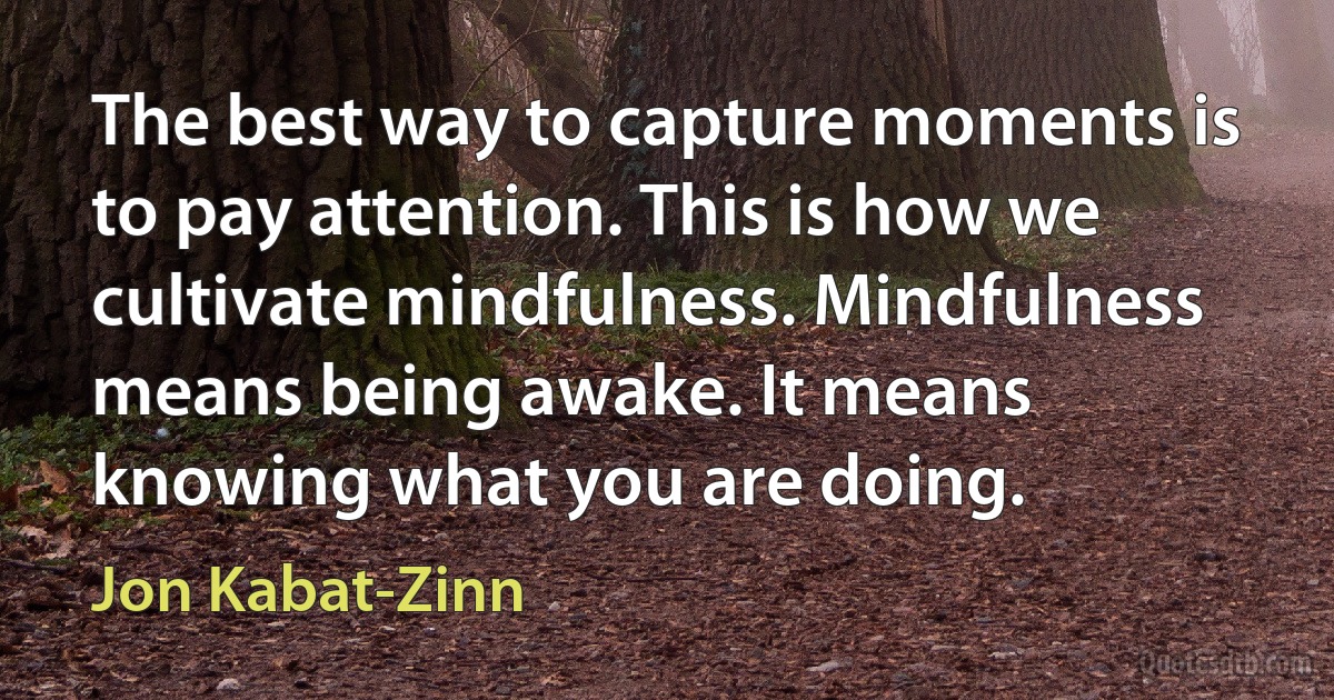 The best way to capture moments is to pay attention. This is how we cultivate mindfulness. Mindfulness means being awake. It means knowing what you are doing. (Jon Kabat-Zinn)