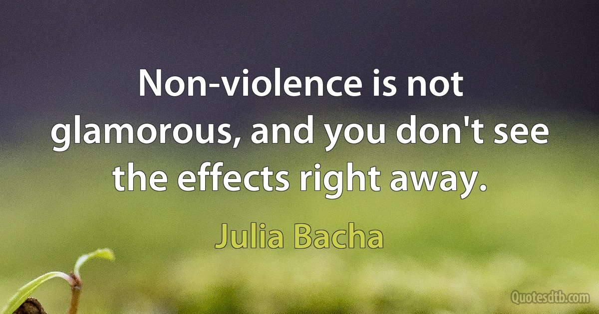 Non-violence is not glamorous, and you don't see the effects right away. (Julia Bacha)