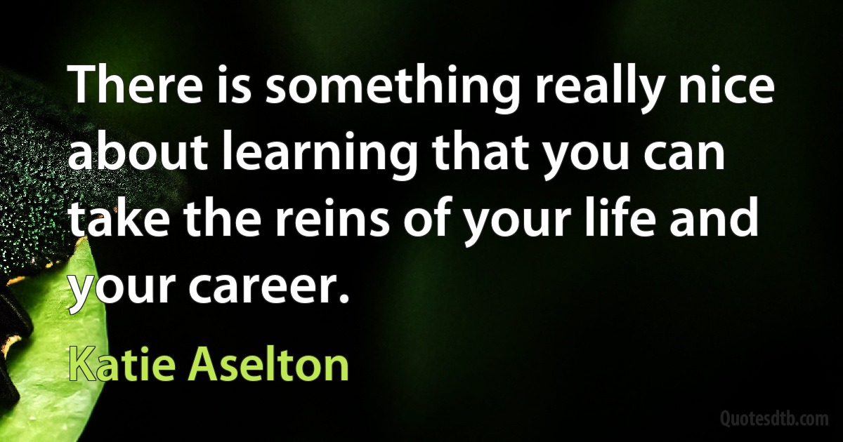 There is something really nice about learning that you can take the reins of your life and your career. (Katie Aselton)