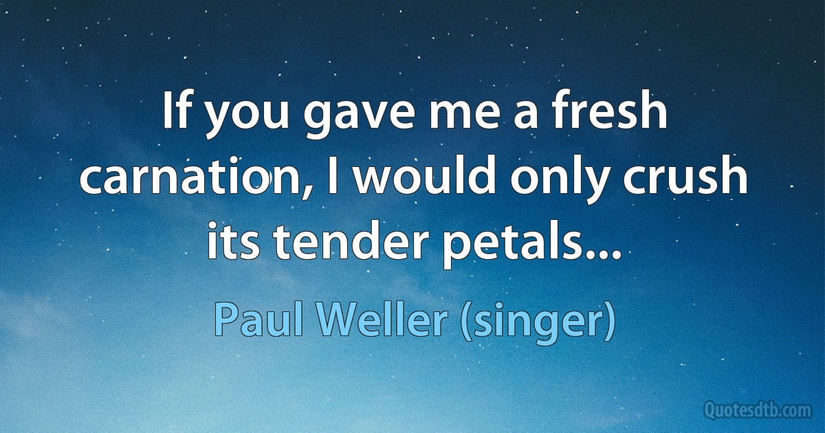 If you gave me a fresh carnation, I would only crush its tender petals... (Paul Weller (singer))