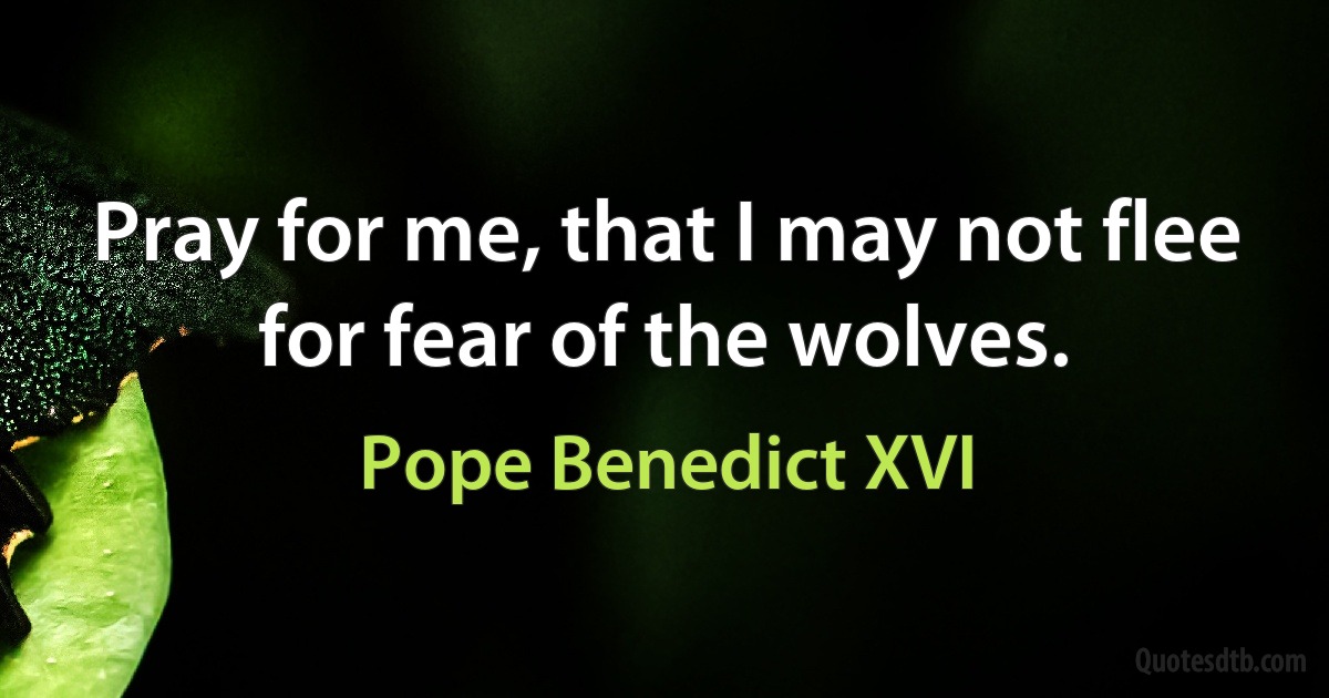 Pray for me, that I may not flee for fear of the wolves. (Pope Benedict XVI)