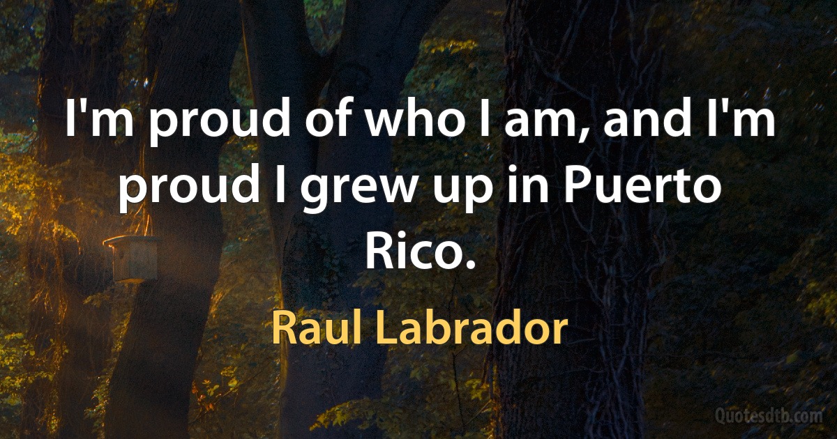 I'm proud of who I am, and I'm proud I grew up in Puerto Rico. (Raul Labrador)