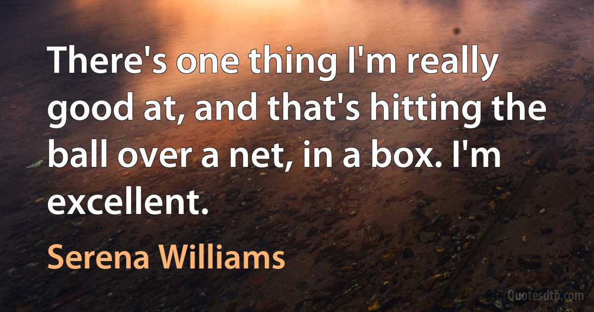 There's one thing I'm really good at, and that's hitting the ball over a net, in a box. I'm excellent. (Serena Williams)