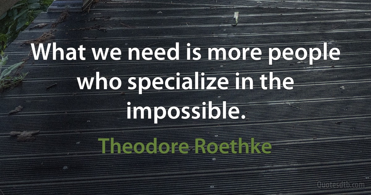 What we need is more people who specialize in the impossible. (Theodore Roethke)