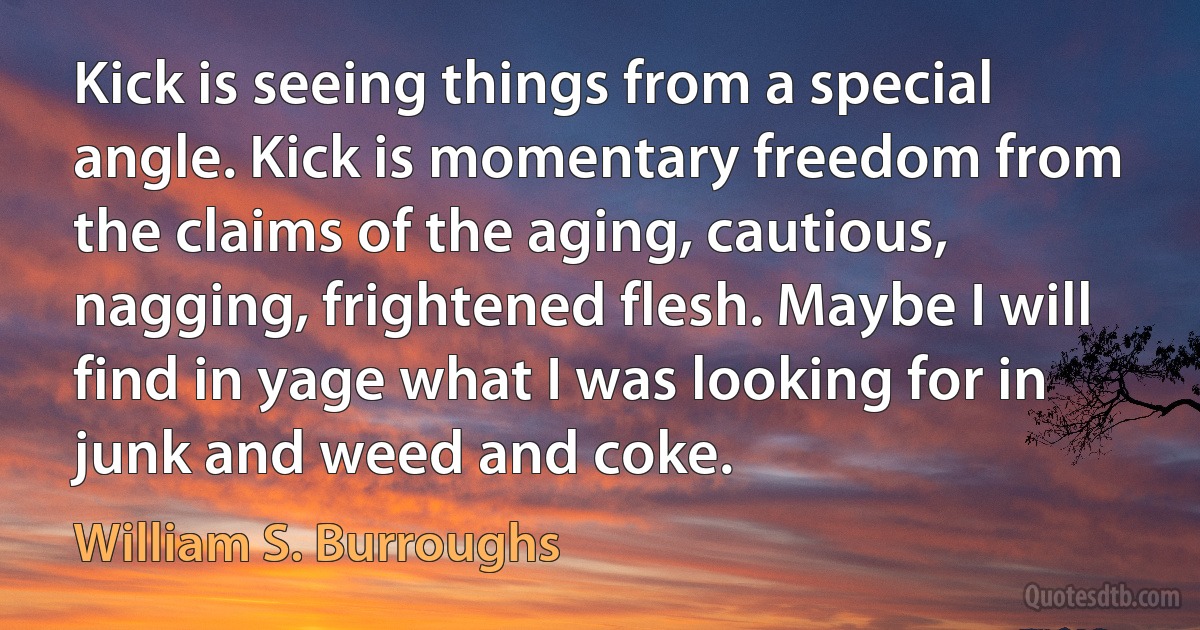 Kick is seeing things from a special angle. Kick is momentary freedom from the claims of the aging, cautious, nagging, frightened flesh. Maybe I will find in yage what I was looking for in junk and weed and coke. (William S. Burroughs)