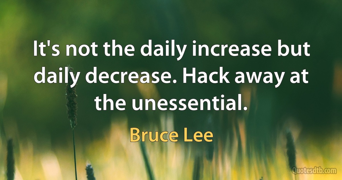 It's not the daily increase but daily decrease. Hack away at the unessential. (Bruce Lee)