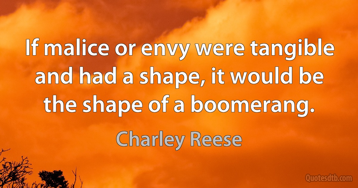 If malice or envy were tangible and had a shape, it would be the shape of a boomerang. (Charley Reese)