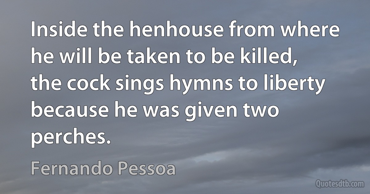 Inside the henhouse from where he will be taken to be killed, the cock sings hymns to liberty because he was given two perches. (Fernando Pessoa)