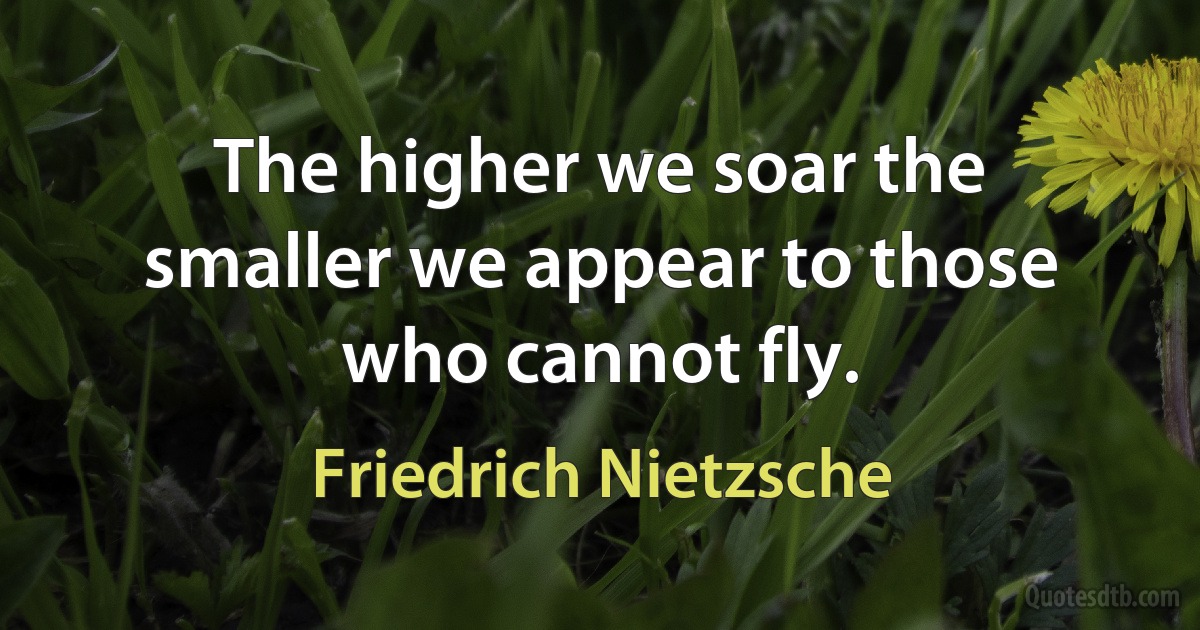 The higher we soar the smaller we appear to those who cannot fly. (Friedrich Nietzsche)