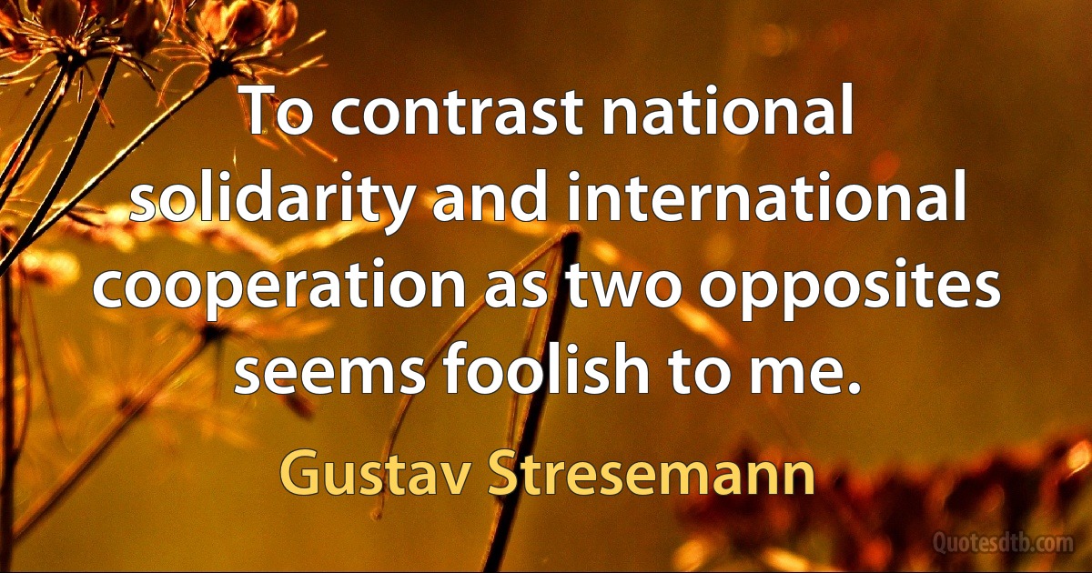 To contrast national solidarity and international cooperation as two opposites seems foolish to me. (Gustav Stresemann)