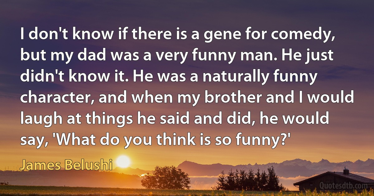 I don't know if there is a gene for comedy, but my dad was a very funny man. He just didn't know it. He was a naturally funny character, and when my brother and I would laugh at things he said and did, he would say, 'What do you think is so funny?' (James Belushi)