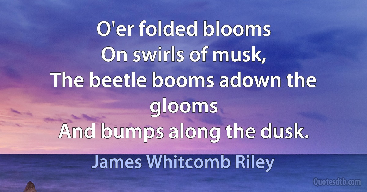 O'er folded blooms
On swirls of musk,
The beetle booms adown the glooms
And bumps along the dusk. (James Whitcomb Riley)