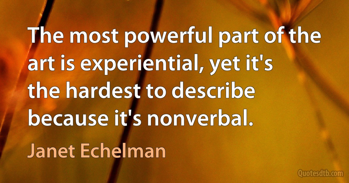 The most powerful part of the art is experiential, yet it's the hardest to describe because it's nonverbal. (Janet Echelman)