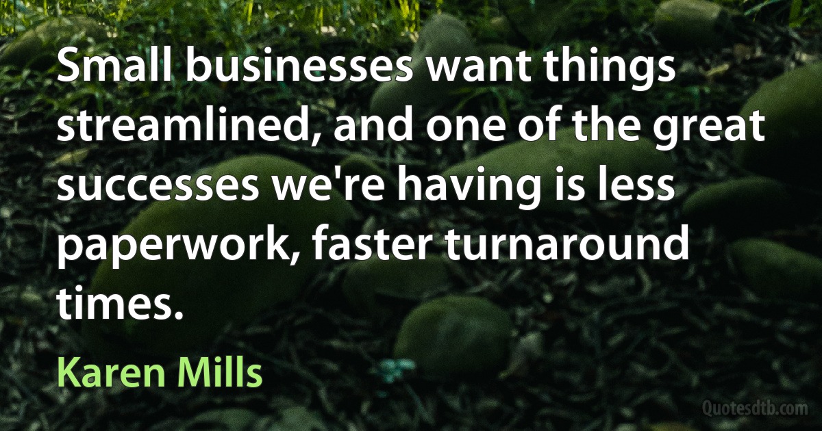 Small businesses want things streamlined, and one of the great successes we're having is less paperwork, faster turnaround times. (Karen Mills)