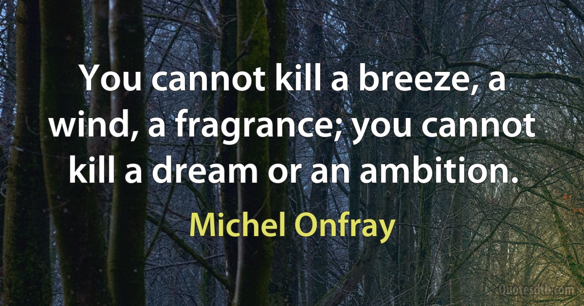 You cannot kill a breeze, a wind, a fragrance; you cannot kill a dream or an ambition. (Michel Onfray)