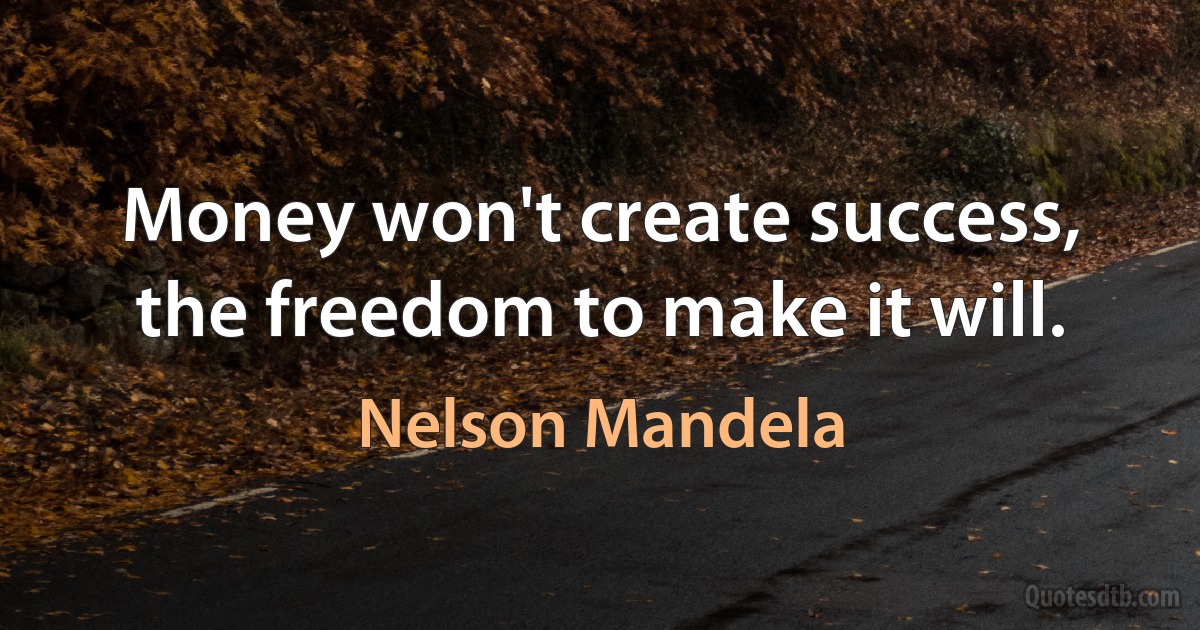 Money won't create success, the freedom to make it will. (Nelson Mandela)