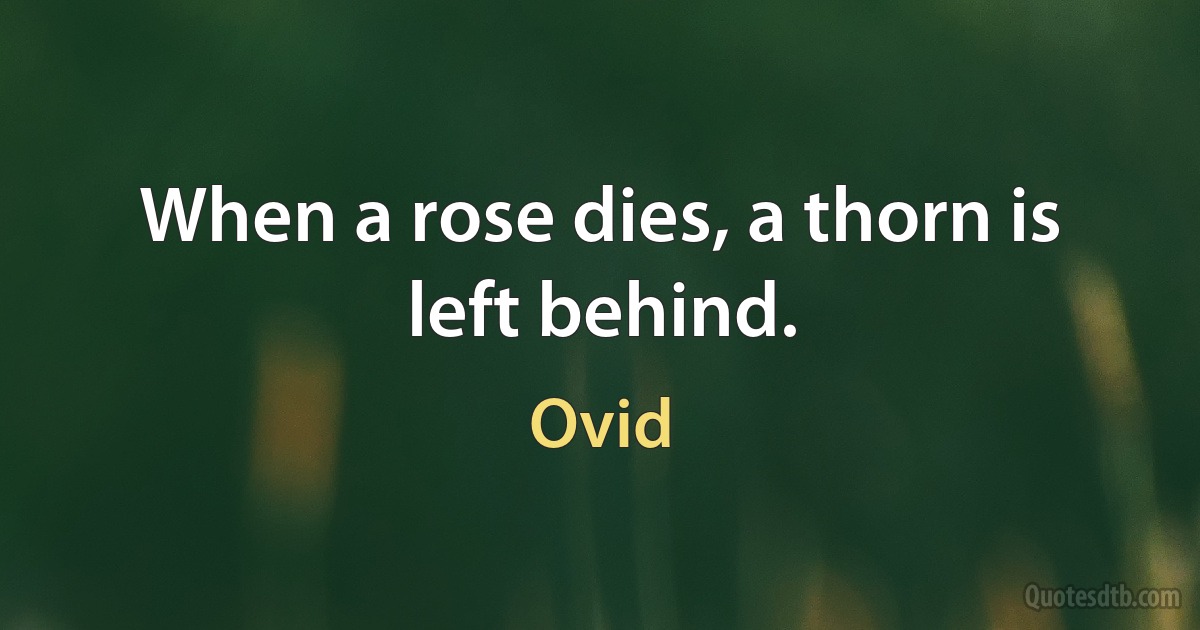 When a rose dies, a thorn is left behind. (Ovid)