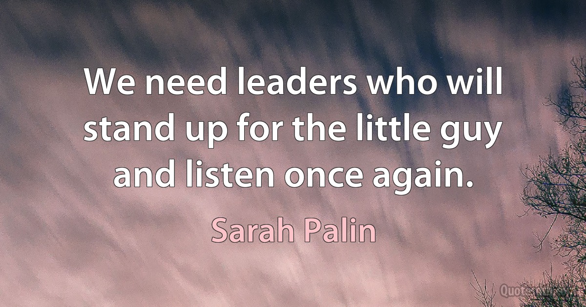 We need leaders who will stand up for the little guy and listen once again. (Sarah Palin)