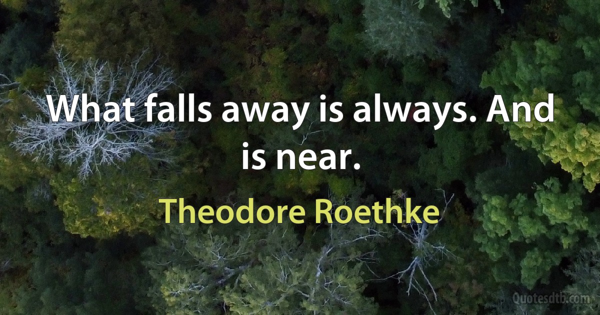 What falls away is always. And is near. (Theodore Roethke)