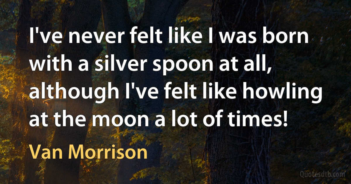 I've never felt like I was born with a silver spoon at all, although I've felt like howling at the moon a lot of times! (Van Morrison)