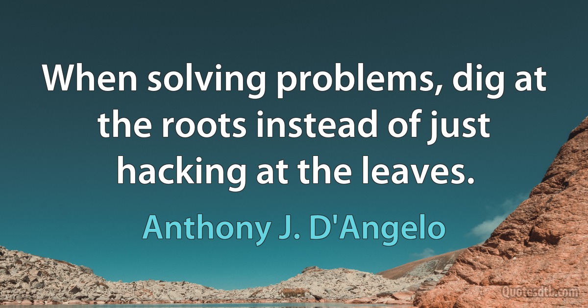 When solving problems, dig at the roots instead of just hacking at the leaves. (Anthony J. D'Angelo)