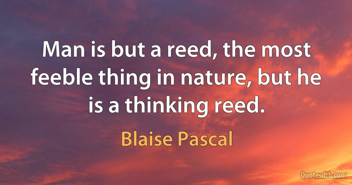 Man is but a reed, the most feeble thing in nature, but he is a thinking reed. (Blaise Pascal)