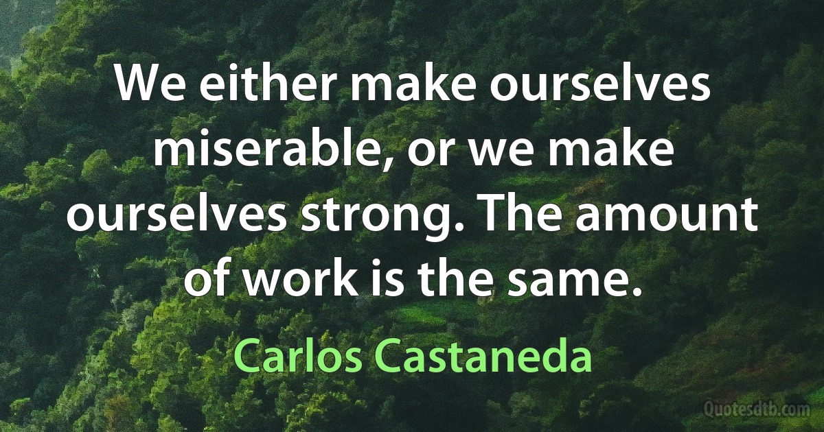 We either make ourselves miserable, or we make ourselves strong. The amount of work is the same. (Carlos Castaneda)