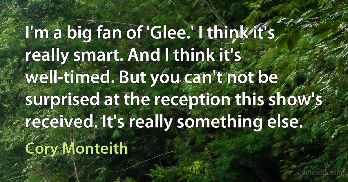 I'm a big fan of 'Glee.' I think it's really smart. And I think it's well-timed. But you can't not be surprised at the reception this show's received. It's really something else. (Cory Monteith)