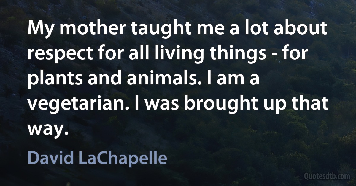 My mother taught me a lot about respect for all living things - for plants and animals. I am a vegetarian. I was brought up that way. (David LaChapelle)