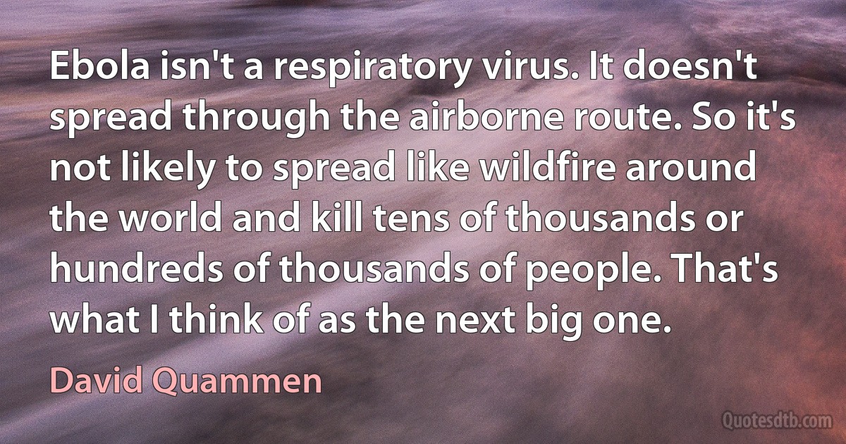 Ebola isn't a respiratory virus. It doesn't spread through the airborne route. So it's not likely to spread like wildfire around the world and kill tens of thousands or hundreds of thousands of people. That's what I think of as the next big one. (David Quammen)