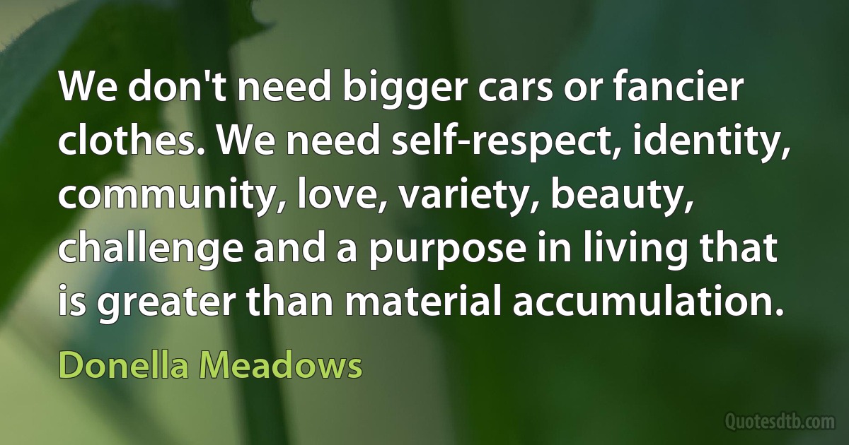 We don't need bigger cars or fancier clothes. We need self-respect, identity, community, love, variety, beauty, challenge and a purpose in living that is greater than material accumulation. (Donella Meadows)