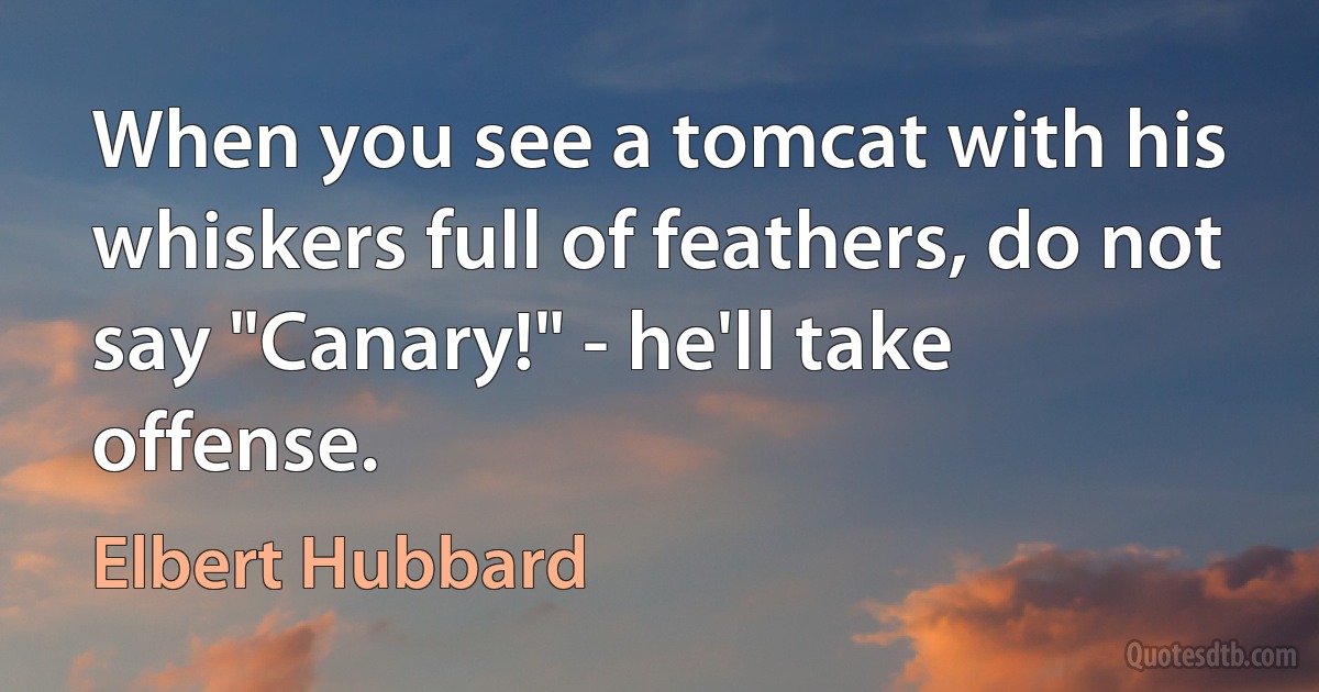 When you see a tomcat with his whiskers full of feathers, do not say "Canary!" - he'll take offense. (Elbert Hubbard)