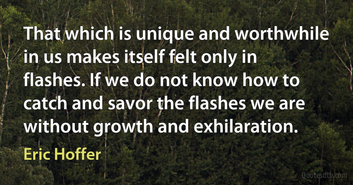 That which is unique and worthwhile in us makes itself felt only in flashes. If we do not know how to catch and savor the flashes we are without growth and exhilaration. (Eric Hoffer)