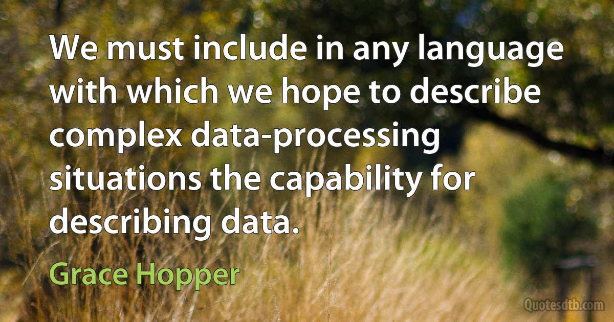 We must include in any language with which we hope to describe complex data-processing situations the capability for describing data. (Grace Hopper)