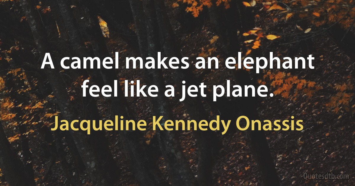 A camel makes an elephant feel like a jet plane. (Jacqueline Kennedy Onassis)